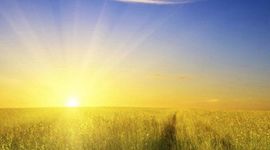 Timeline: THE GMO FUTURE