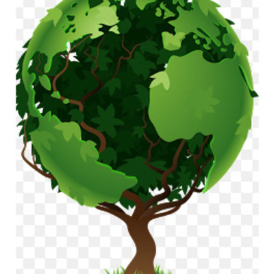 Timeline: Dia del arból