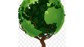 Timeline: Dia del arbol