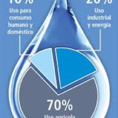 Timeline: La importancia del agua