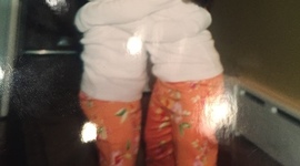 Timeline: La Línea del Tiempo