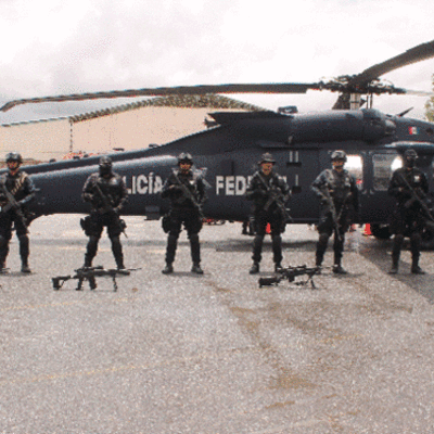 Timeline: POLICIA FEDERAL