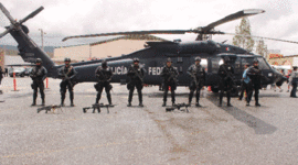 Timeline: POLICIA FEDERAL
