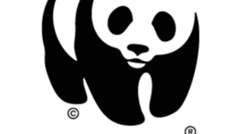 Timeline: World Wildlife Fund