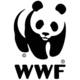 Wwf