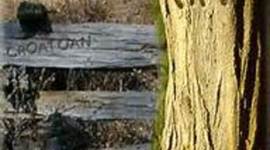 Timeline: Lost colony of Roanoke            BY MIELLA STEVENSON