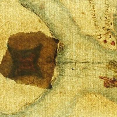 Timeline: the lost colony of Roanoke by:Melanie Martinez