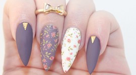 Timeline: History of the United States