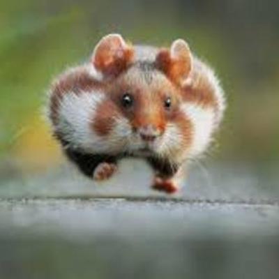 Timeline: History of the internet