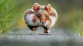 Timeline: History of the internet