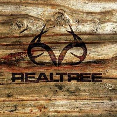 Timeline: history of the united states