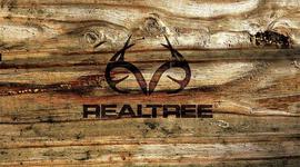 Timeline: history of the united states