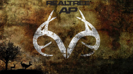 Timeline: History of the United States