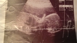 Timeline: La Línea del Teimpo de Janelle