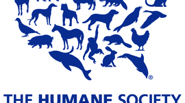 Timeline: Humane Society of the United States