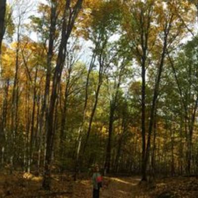 Timeline: Civil Rights