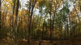 Timeline: Civil Rights