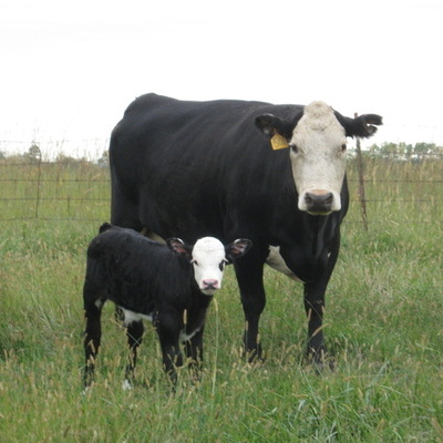 Timeline: Mein Leben