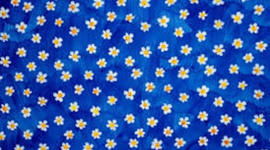 Timeline: Maria Tallchief