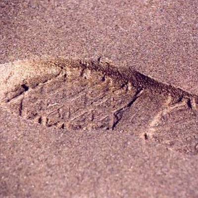 Timeline: EL DÍA EN QUE EMPECE A VIVIR