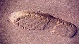 Timeline: EL DÍA EN QUE EMPECE A VIVIR