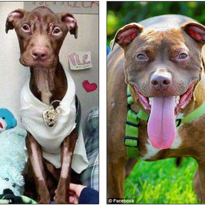 Timeline: La historia de Patrick