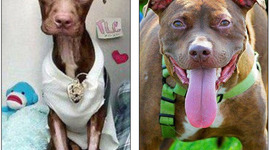 Timeline: La historia de Patrick