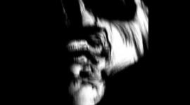 Timeline: mundo paranormal