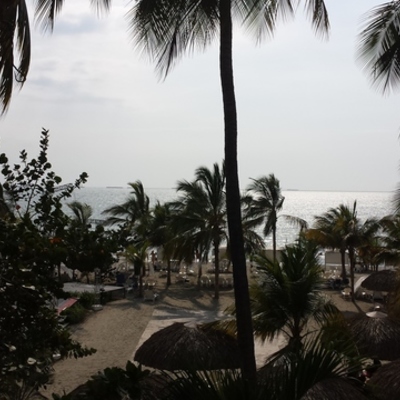 Timeline: Mi Autobiografia