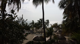 Timeline: Mi Autobiografia