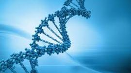 Timeline: Historia de la biología molecular 11 a