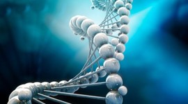 Timeline: Principales acontecimientos en torno a los descubrimientos sobre el ADN