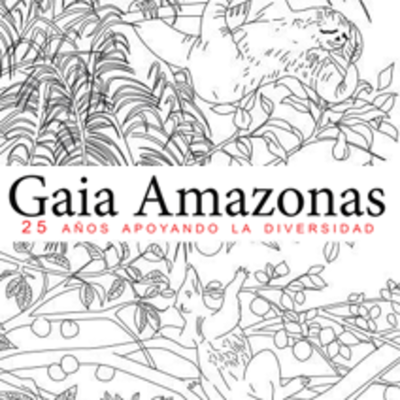 Timeline: GAIA AMAZONAS