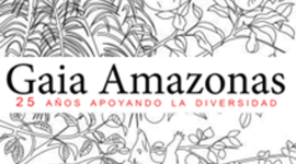 Timeline: GAIA AMAZONAS