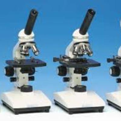 Timeline: Origen y evolucion del microscopio