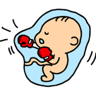 Timeline: Biografía embrionaria