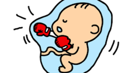 Timeline: Biografía embrionaria