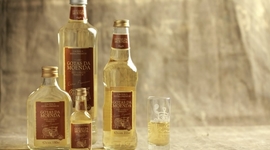 Timeline: Santo Antônio da Patrulha