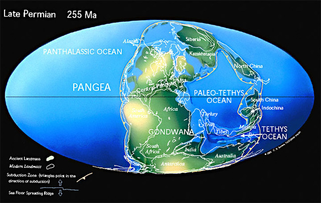 Permicox historia geologica de la tierra timeline | Timetoast timelines