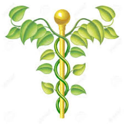 Timeline: MEDICINA NATURAL