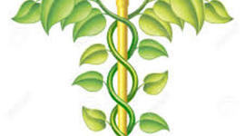 Timeline: MEDICINA NATURAL