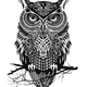 Owl open wings tattoo on sleeve 4