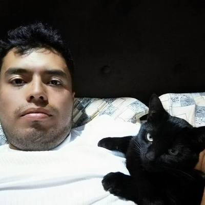 Timeline: Autobiografía