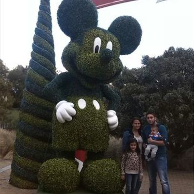 Timeline: Linea de tiempo