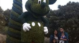 Timeline: Linea de tiempo