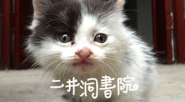 Timeline: 近300年知识人学习史研究时间线