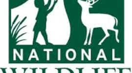 Timeline: National Wildlife Federation