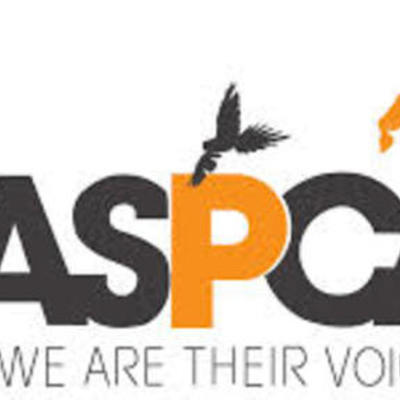Timeline: ASPCA