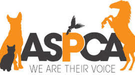 Timeline: ASPCA