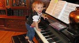 Timeline: Toddler Development